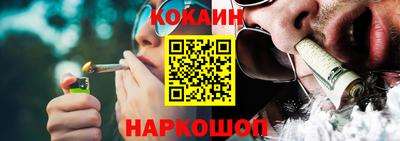 дмт Кингисепп