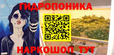 дмт Кингисепп