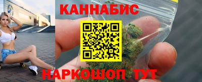 дмт Кингисепп