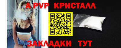 дмт Кингисепп
