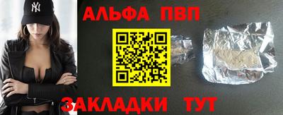 дмт Кингисепп