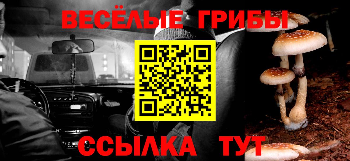 Галлюциногенные грибы GOLDEN TEACHER Лабинск